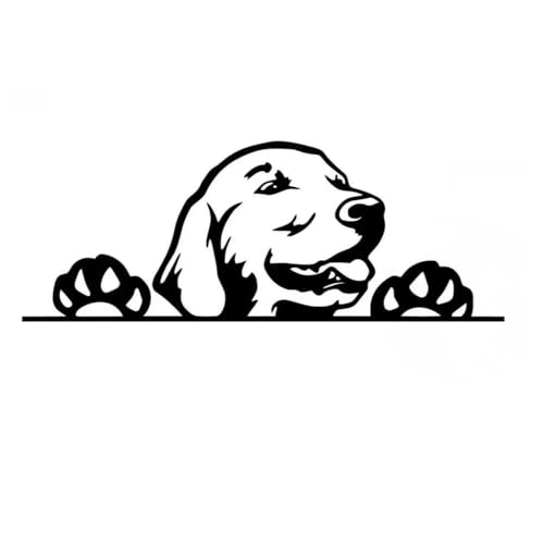 Golden Retriever Autocollant imperméable réfléchissant amusant chien Peeking décoration pour ordinateur portable, réfrigérateur, voiture, pare-chocs, fenêtre (15...