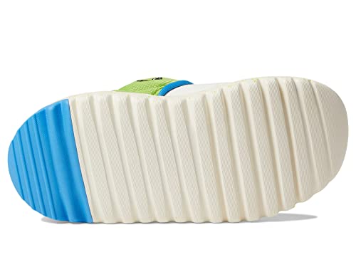 adidas Baby Boy's Suru365 Kermit (Toddler) Off-White/Pulse Blue/Still Green 8.5 Toddler M3