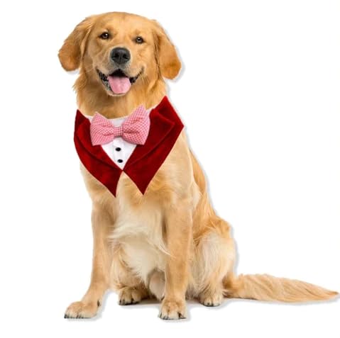 Wrap In Fur Tuxedo Bandana, Dog Bandana (L, Red Velvet), Dog Birthday Bandana, Dog Party Bandana (B0CSD5VJPM) Amazon Price History, Amazon Price Tracker