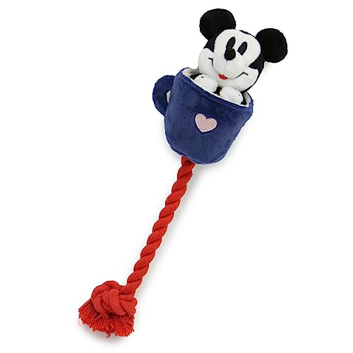 ybgp_CX   ނ fBYj[ яo [vgC y~bL[z