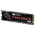 Seagate FireCuda X1070 1TB Internal Solid State Drive SSD - M.2 PCIe Gen4 3D QLC NAND Technology, Rescue Services (ZP1000GS3A001)
