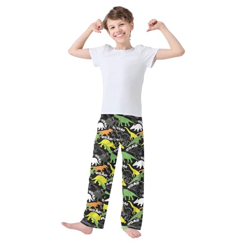 Ancient Dino Roar Print Boys Long Pants Soft Trousers Elastic Waist Kids Lounge Bottoms with Pockets S-XL2