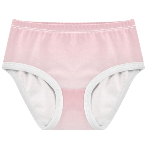 Joisal Blush Pink Snow White Gradient Toddler Underwear Floral 2t Cotton Cute Panties Girl Florals Briefs Undies Kids