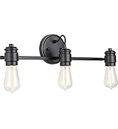 Austin Allen 9D343A Menlo Urban/Industrial Bold Bath Vanity Wall Mount Light Fixture, 3-Light 300...