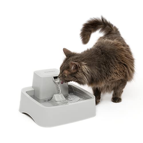 PetSafe Drinkwell 1/2 Gallon (64 Ounce) Small Pet Fountain - Small Dog and Cat Water Fountain - Dishwasher Safe Filtered Water Dispenser with Flow Control - Easy to Clean - Filters Included PetSafe Drinkwell 1/2 Gallon (64 Ounce) Small Pet Fountain - Small Dog and Cat Water Fountain - Dishwasher Safe Filtered Water Dispenser with Flow Control - Easy to Clean - Filters Included