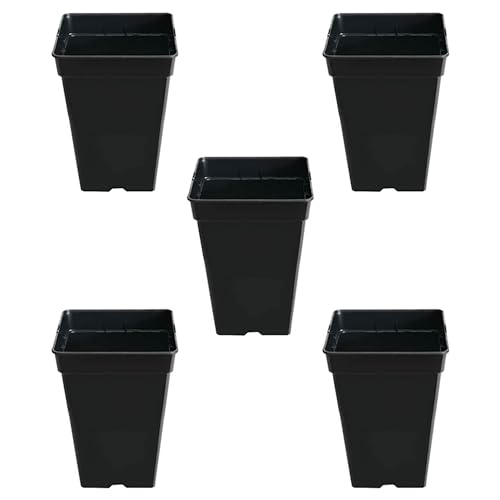 Growmania Pack 5 Macetas Cuadradas Para Plantas Negra 5,5l - Cinco Macetero Plástico Para Flores 18x18x25 Cm Growmania Pack 5 Macetas Cuadradas Para Plantas Negra 5,5l - Cinco Macetero Plástico Para Flores 18x18x25 Cm
