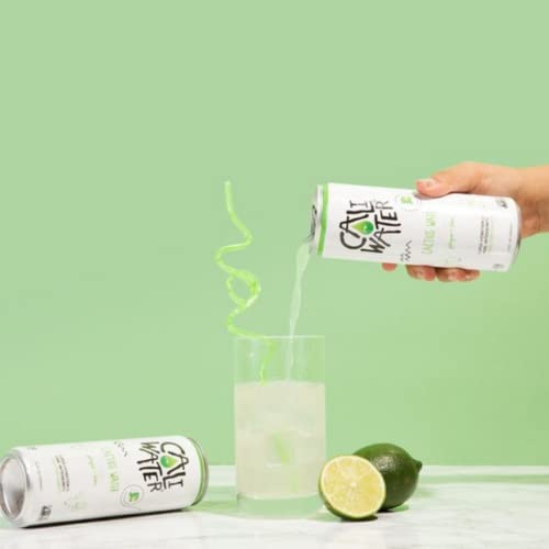 Caliwater Organic Ginger Lime Nopal Cactus Water With Rare Antioxidants + Electrolytes For Hydration And Recovery, Plant-Based, Non-Gmo, Non-Carbonated, 12 Fl Oz Cans (Pack Of 12) #TOP4