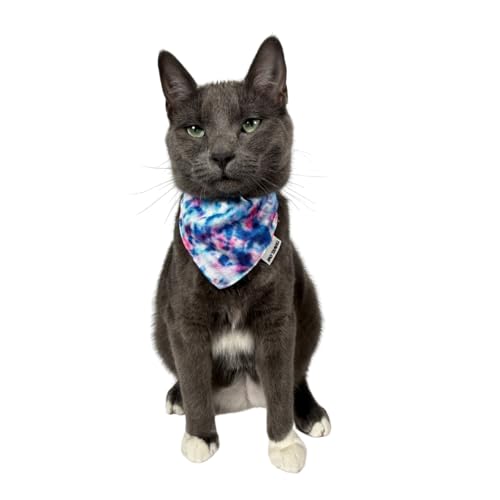 gxLbgo_iJ[- ߉\ȔL̋ obNt qLAqA^ O U - 킢ANZT[Ɖpi(O[r[)