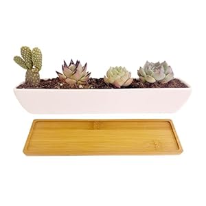 White Ceramic Long Rectangle Succulent Planter Pots with Bamboo SaucersMini Flower Plant Containers 111 Inch Succulents Planter Home DecorLong Rectangle