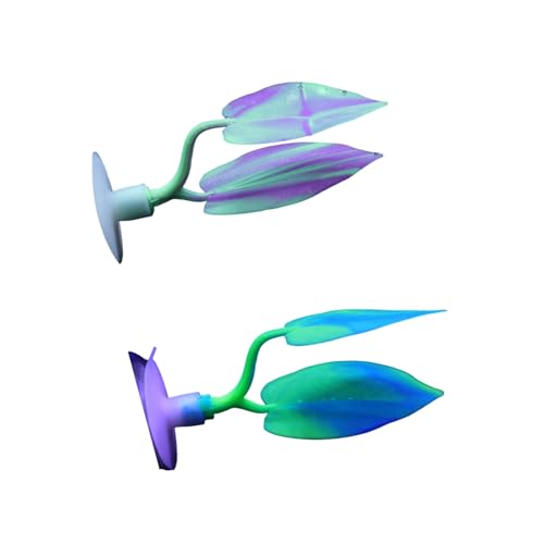 VRُ_炩VR[x^X̃TS̋zx[XtBbV^NANZT[SVR[̑