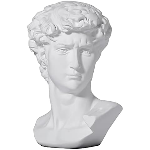 LAGOM HOUSE Greek Statue of David Head 6” Greek David Statue Bust Statue Sculpture Figurine Michelangelo Replica, Roman Greek Mythology Decor for Home/Office/Wedding/Party Cover