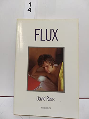 Flux view 2