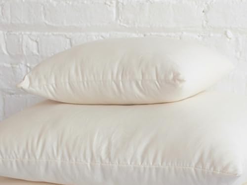 White Lotus Home 100% Organic Cotton Pillow with Organic Sateen