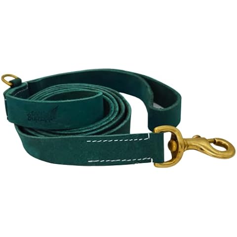 Blazing Paws Vibrania 6 Ft Heavy Duty 1 inch Wide Super Soft Thick Distressed Leather Dog Leash, Teal Green with Side Ring (6 Ft L x 1" W, Teal Green) Cover