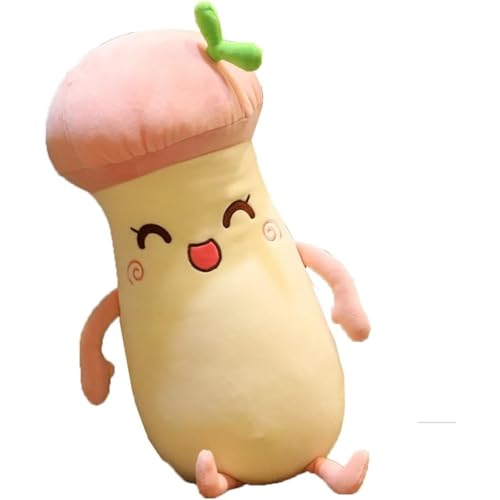 DigglyGM ʂ NbV  傫TCY ӂӂ  qp Qp a LO o^Cf[ v[g  X lƑւ̑蕨 50cm (uE50cm) [sAi]