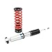 FAPO Adjustable Height Coilover Suspension Strut Lowering Kit, Mono-Tube for BMW 3 Series F30 2013-2019, for BMW 4 Series F30 F32 F33 F36 2013+, for BMW 2 Series F23 F22 2014+ Shock