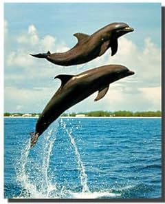 Impact Posters Gallery Ocean Bottlenose Dolphins Jumping Animal Bathroom Wall Decor Art Print Poster 16x20