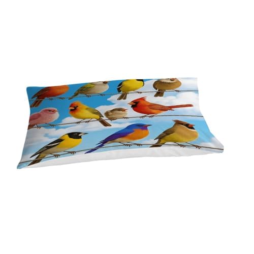 Housse de couette 2 pièces aesthetic sky birds lit simple microfibre