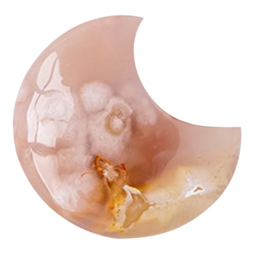 GLSTOY VRmE`u fXNgbvpRpNgz[fR[V a LO j[NȌ`[tA[g