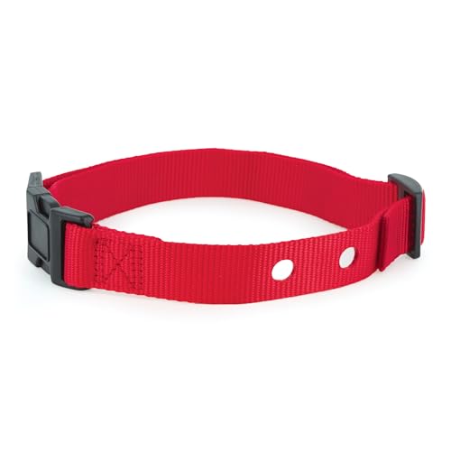 PetSafe Replacement Collar Strap with 2 Holes - Adjustable Design for In-Ground & Wireless Fence Collars - Lightweight Polyester - Secure, Comfortable Fit