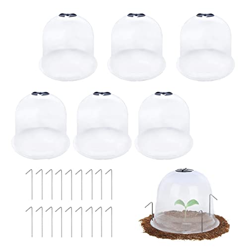 MAXHJX 6Pcs Reusable Garden Plant Cloche Plant Dome Bell Cover Plastic Mini Greenhouse for Warming Garden Soil Plants Frost Protect with 18pcs Securing Pegs