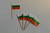 U24 Flaggen Zahnstocher Bulgarien Flagge Fahne Minipicker