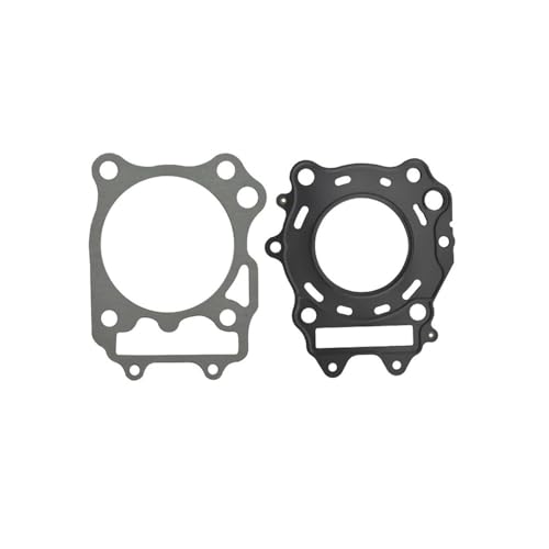 Joint de culasse moto pour AN250 anti surchauffe moteur 1998-2006