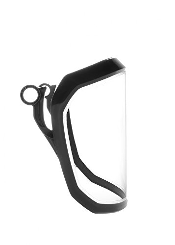 Preisvergleich Produktbild Protos Integral Clear Visier