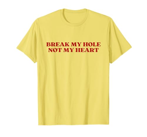 Break My Hole Not My Heart Y2k Aesthetic Funny Gay T-Shirt