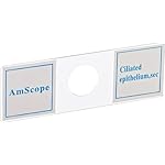 AmScope-100-PC-Prepared-Microscope-Glass-Slides-Set-A