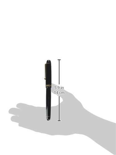 Image of Pilot Fountain Pen Custom 74, SM-Nib, Black Body (FKK-1000R-B-SM)