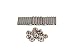 Canton Racing Products 22-300 Oil Pan Stud Kit