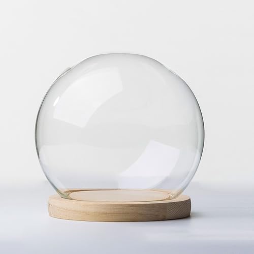 Expositor de cúpula de cristal con base de madera maciza para plantas, adornos, figuras de 18 cm de diámetro