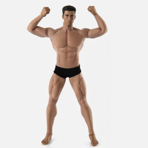Poupée miniature homme 1:12 AMITD corps muscle premium sans couture avec tête sculptée