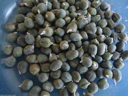 FarmCrane, Hybrid Vegetable Seeds Ladies Finger (Okra)- 50 seeds (B07T1CGDWX) Amazon Price History, Amazon Price Tracker