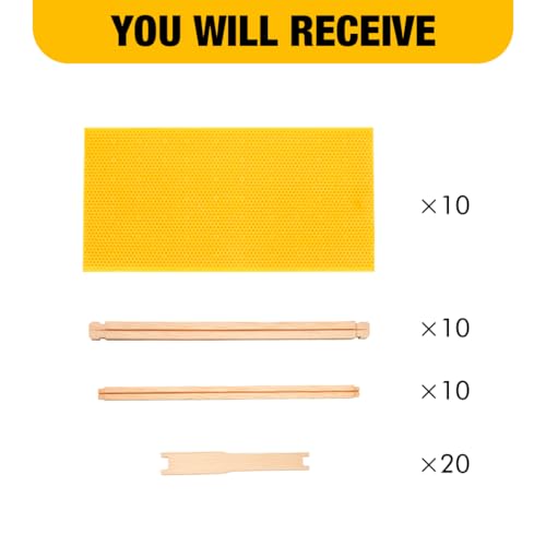Honey Lake Deep Beehive Frames and Foundations Kit, 10 Pack Brood Wooden Frames and Natural Beeswax Dipped Plastic Foundation for Beekeeping