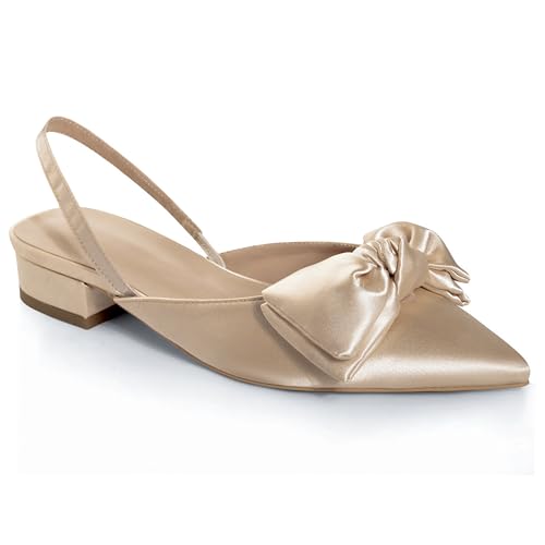 Slingback Pumps Shoes for Women Closed Toe Short Heels Bow Pointed Toe Low Heels
