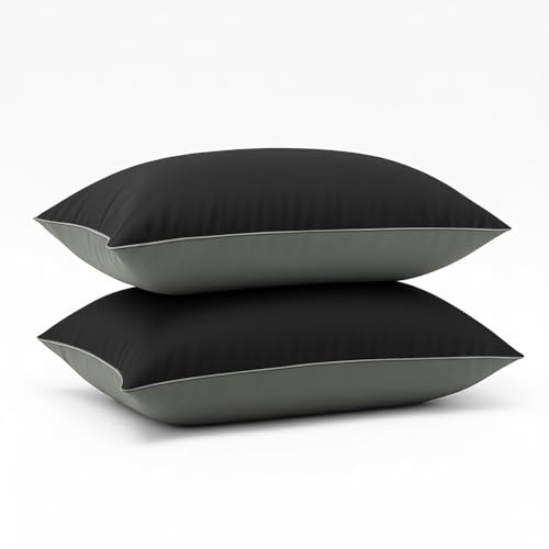 Cloth Fusion Microfiber Pillow Set of 2 - 16x24 Inches