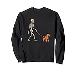 Photo Gallery divertente gallese terrier scheletro cane che cammina halloween cane felpa Photo Gallery divertente gallese terrier scheletro cane che cammina halloween cane felpa