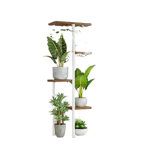 Sefoemutt[X^h 5 iKiAI kX^CI S؍ސw|bgX^h |[bN oRj[rOp (5i6,[ؖ)