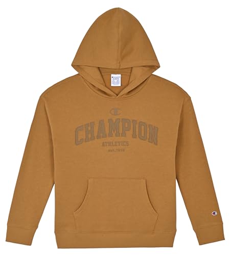 Image of Champion boys Graphic Hoodie Pullover Sweatshirt for Kids With Stylish Embellishments