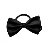 Einstellbare Fliege für Hund oder Katze