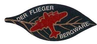 Flieger Orangen süß saftig 10 kg Karton Spanien