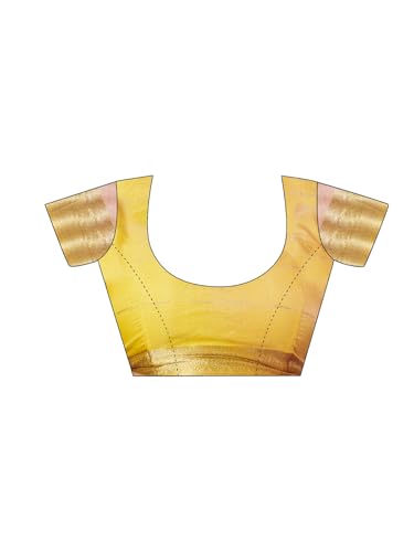 Image of Satrani Women's Woven Organza Saree