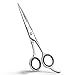 Professional Barber Hair Cutting Scissors/Shears (6.5-Inches) - Ice Tempered Stainless Steel Reinforced with Chromium to Resist Tarnish and Rust