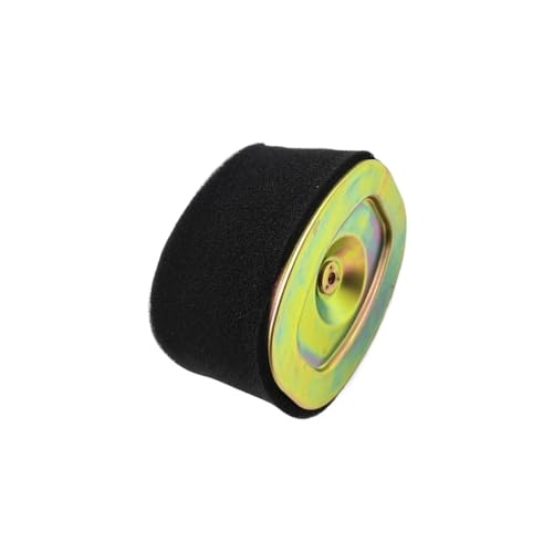 Filtre à air de rechange pour restaurer la puissance des moteurs HJ125T-18