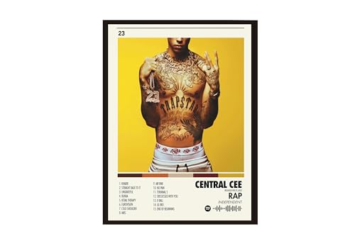 Image of BLINKART Central CEE Wall Photo Frames | Wall Art for Bedroom, Living Room, Studio or Office | Album Cover Print with Spotify Song Link QR Code | Gift for Fans - 8x12 In
