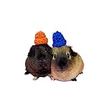 Crochet Winter Hats for Guinea Pigs, Bunnies, Gerbils, Hamsters, Chinchillas, and Other Small Pets (Blushing Pink)