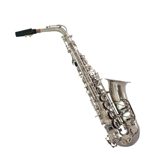 TbNX l̗KɓKvdl̊yAgTbNX