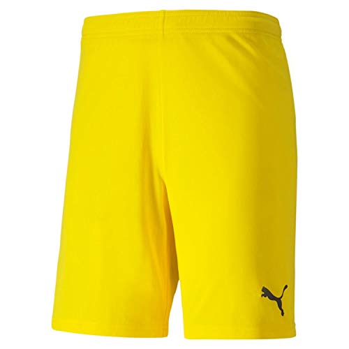 Image of PUMA - Mens Teamgoal 23 Knit Shorts